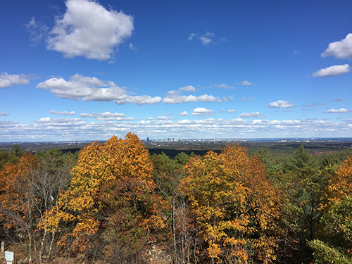 Blue Hills observation tower view