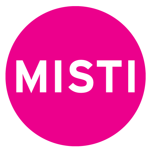 MISTI Program