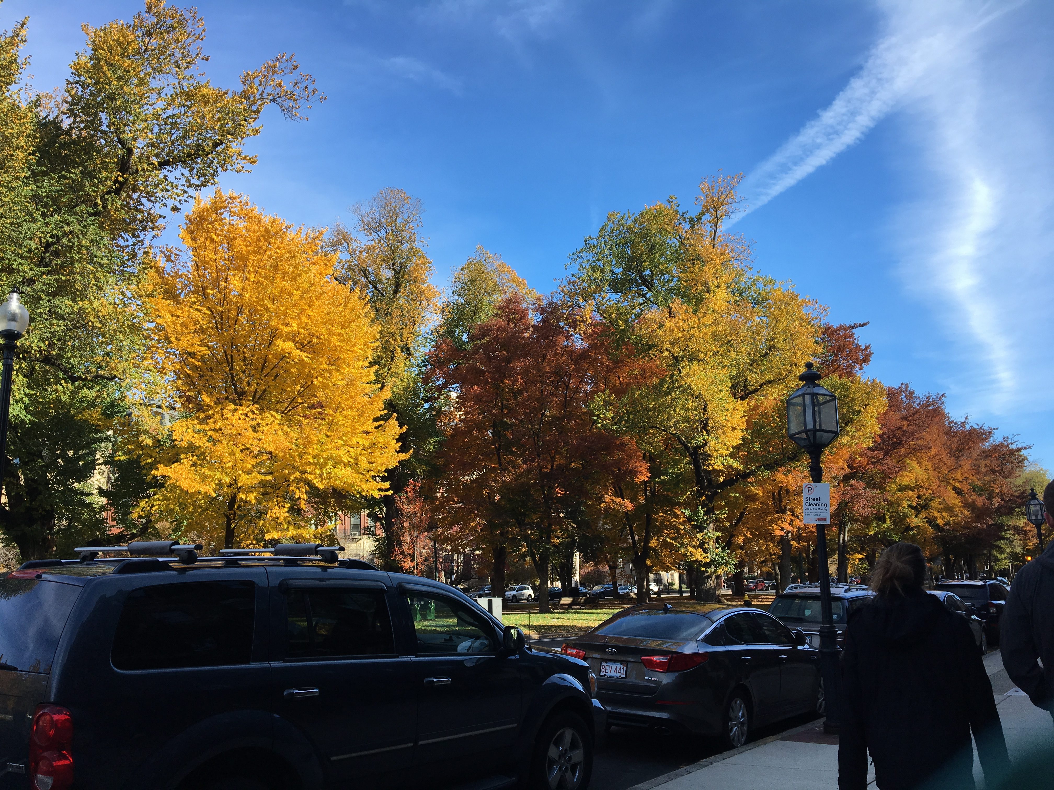 A street in Boston. The foreground is parked cars; the background is trails of white clouds on blue sky and brightly-coloured trees.