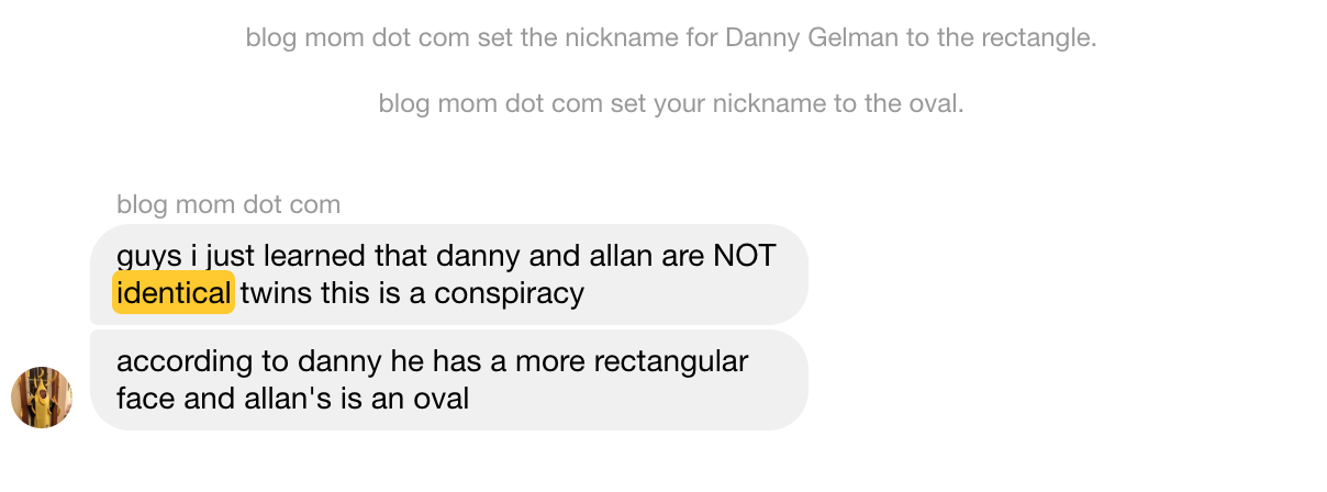 a screenshot of Elizabeth telling the blogger chat we are not identical and that Danny's face is rectangular and Allan's is Oval