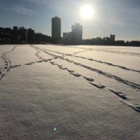 snow on the football field with footprints