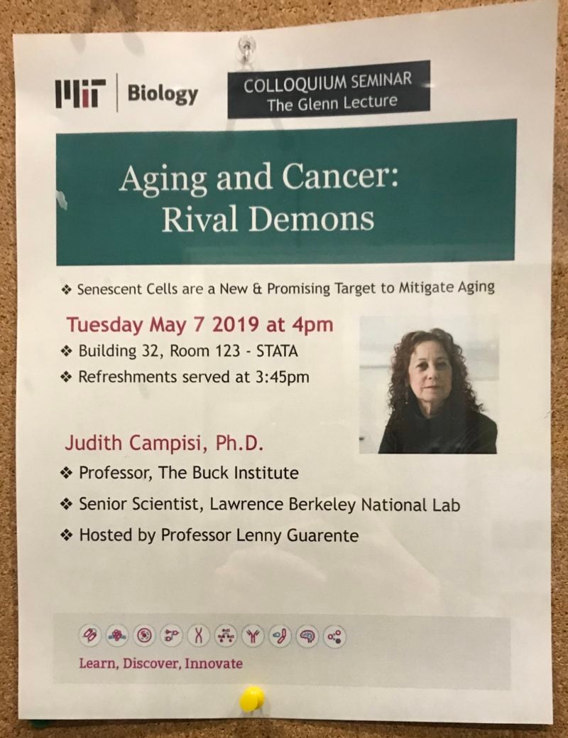 a poster advertising a colloquium seminar by Judith Campisi entitled aging and cancer rival demons