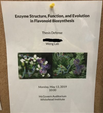 enzyme structure, function, and evolution in flavonoid biosynthesis