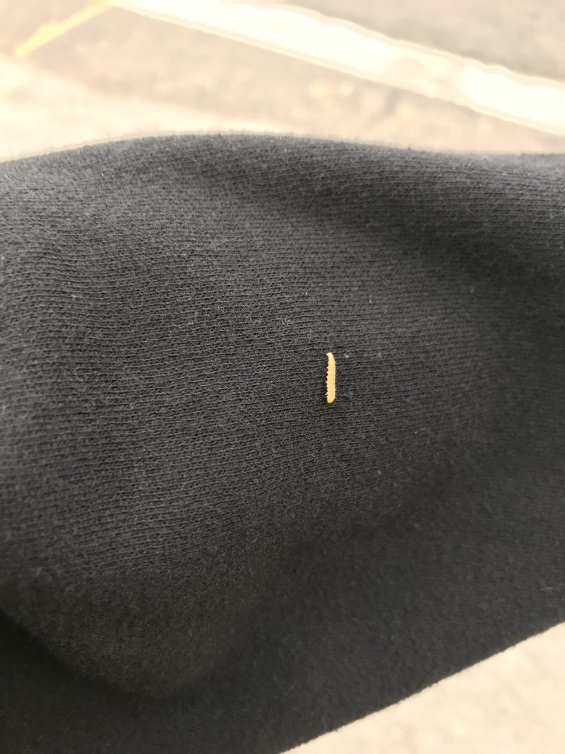an inchworm on my sleeve