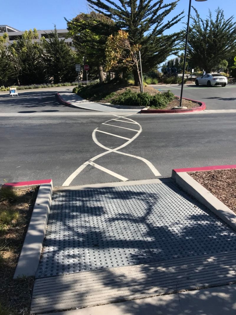 a crosswalk painted to look like a DNA double helix