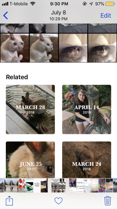the photos app identifying a picture of me next to a turtle as related to the sad cat meme chart picture
