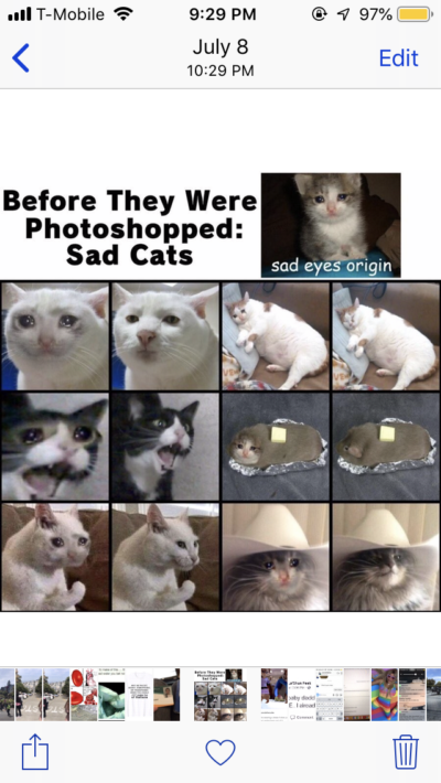 a chart showing what cat pictures originally looked like before they were photoshopped into the sad cat meme