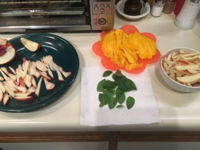 The ingredients for the summer rolls: chopped nectarine and apple, mint, and mango (rice not pictured).