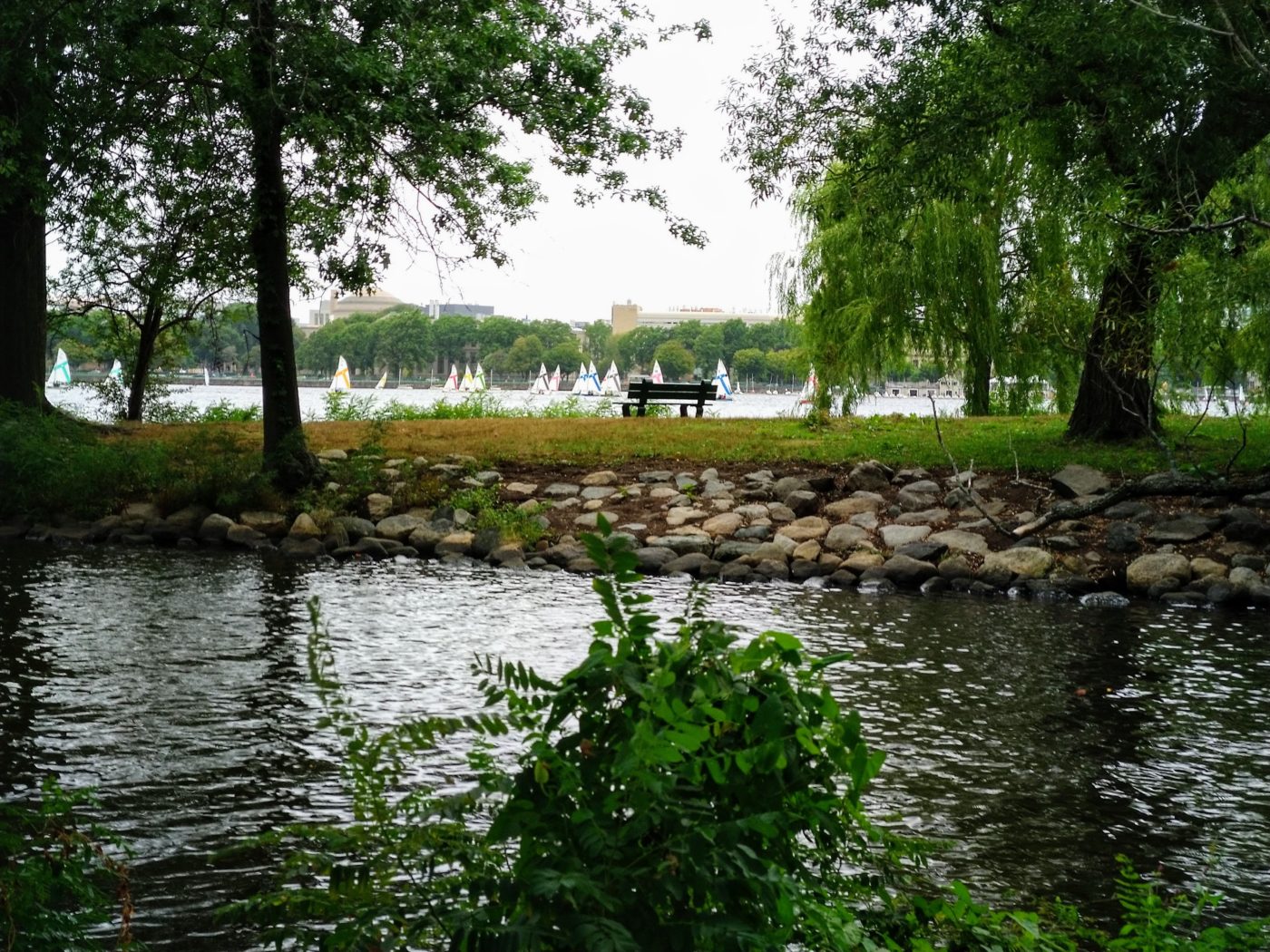 there's a bench. it's surrounded by trees and water. in the distance are some sailboats, and even further in the distance is mit.