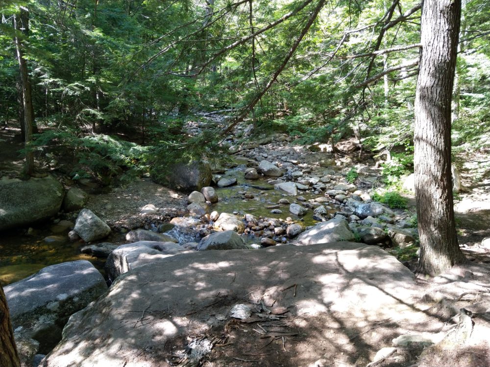 Diana's Baths. There are trees and rocks and a stream of water.