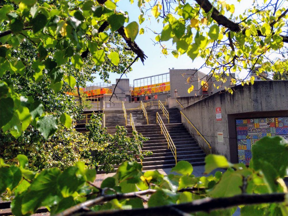 a tree frames the picture. there are stairs leading up to some structure.