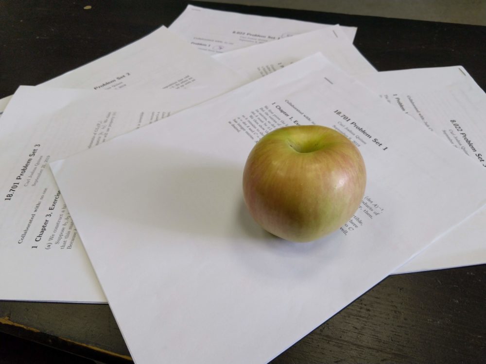 an apple lying on some psets