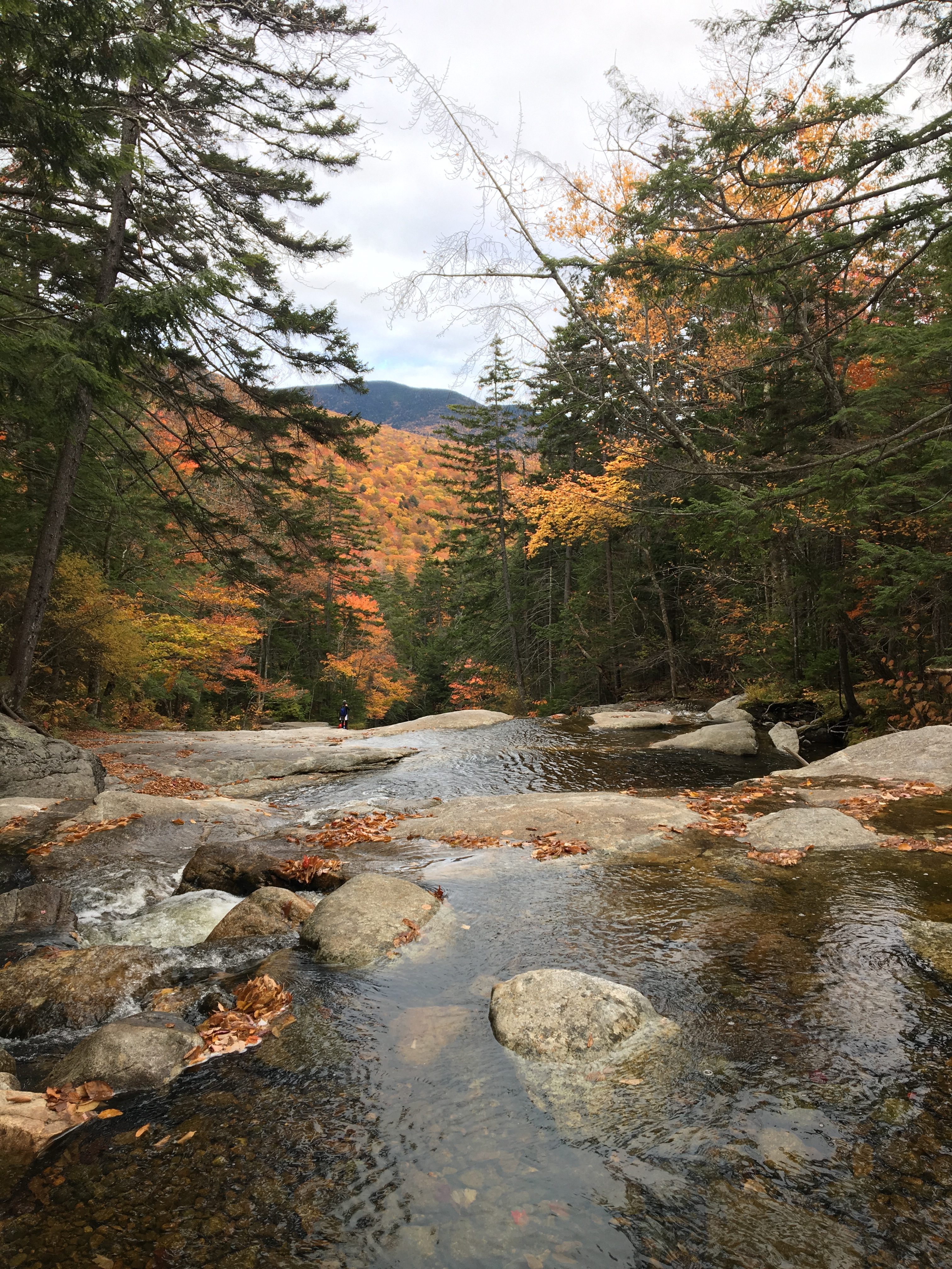 The foreground is a rocky stream, which appears to go over a cliff. The middleground, beyond the cliff, is a forest of variously-colored trees. The background is a cloudy sky and some far-away mountains.