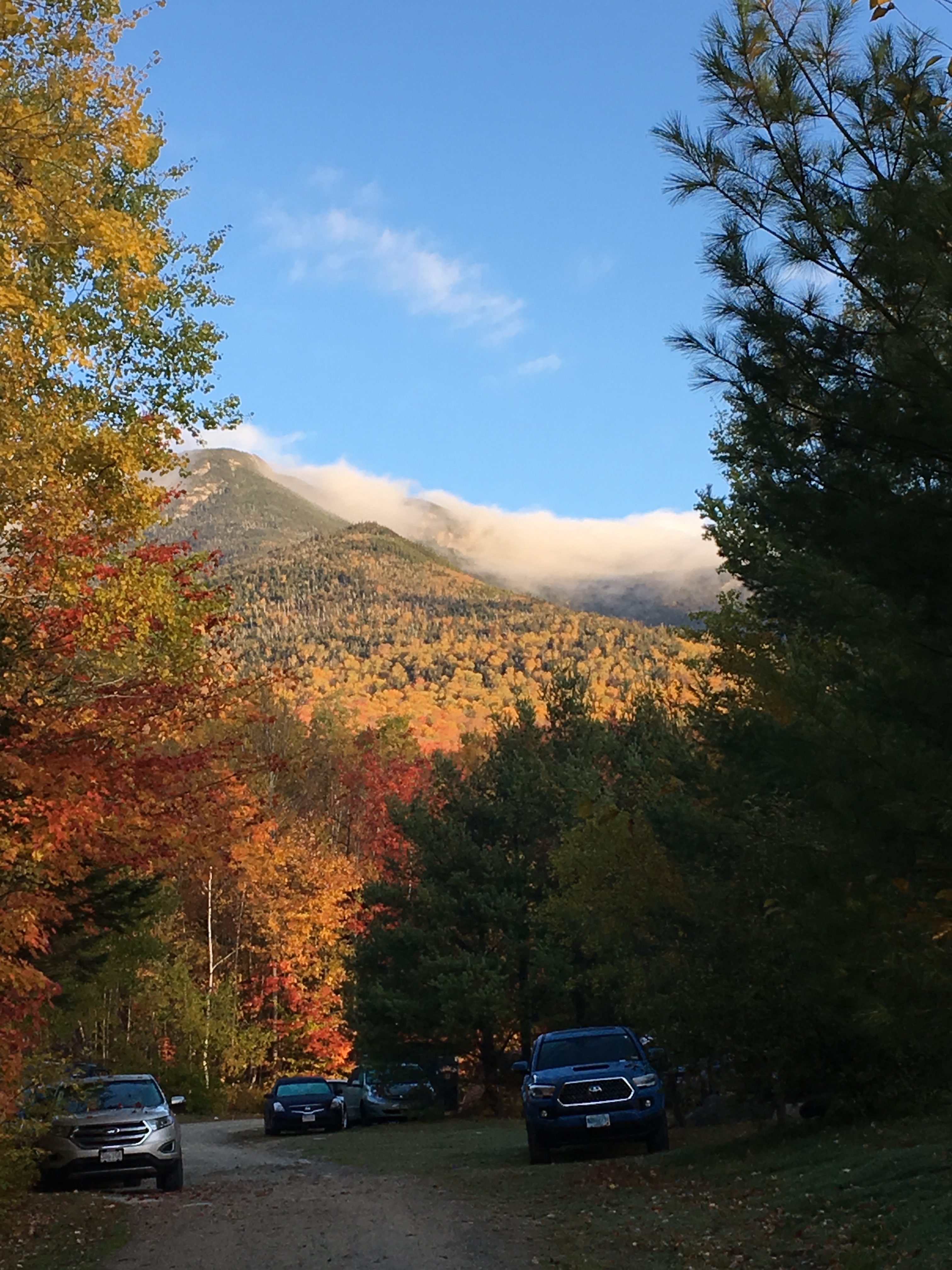 A view from the road. Trees of various colors are in the foreground; the middle ground is a mountain, which is also covered in trees; the background is clouds around the mountaintop and an otherwise-empty bright blue sky.