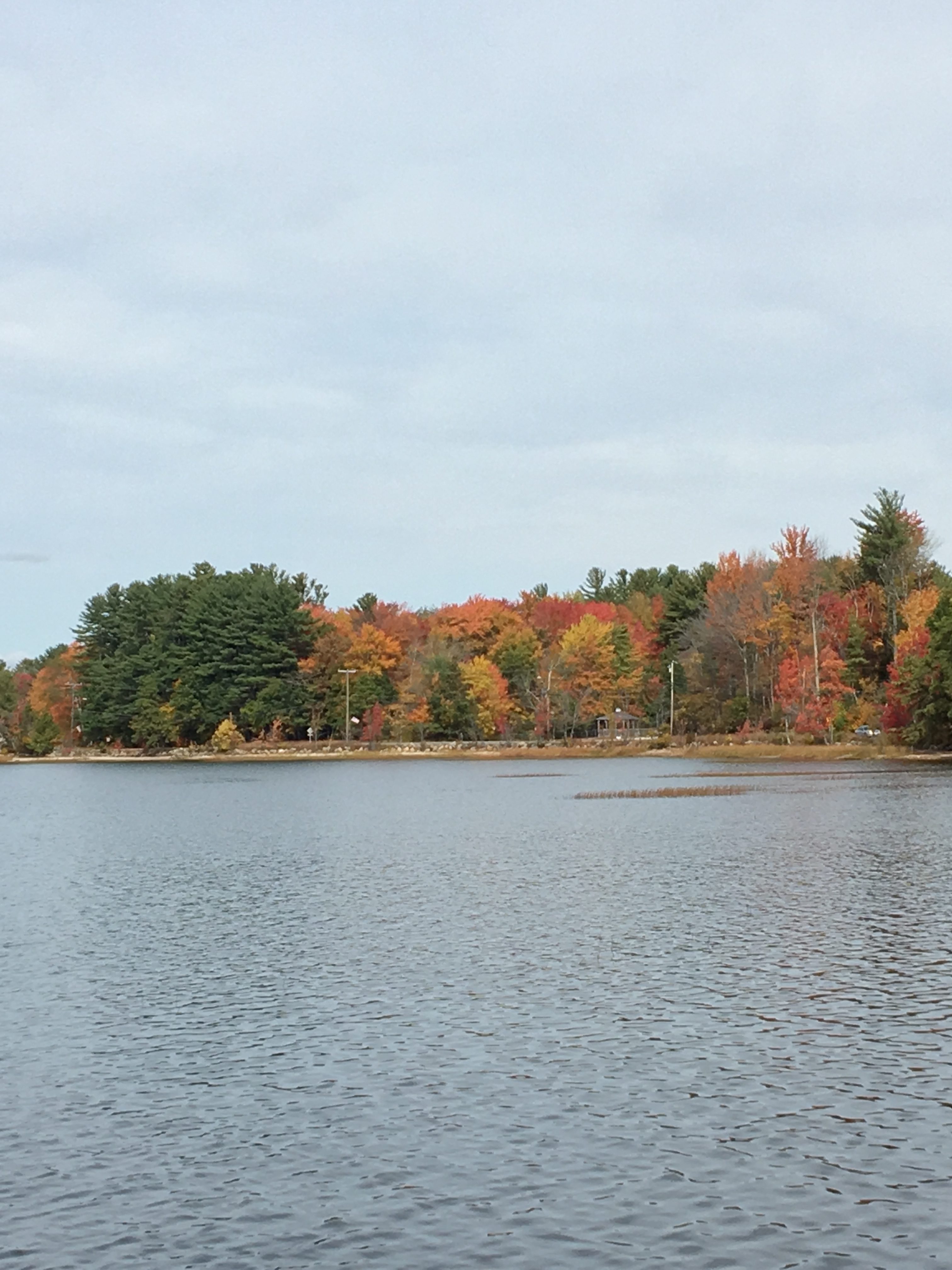 A large pond on a cloudy day. On the opposite bank are green, red, yellow, and orange trees. 