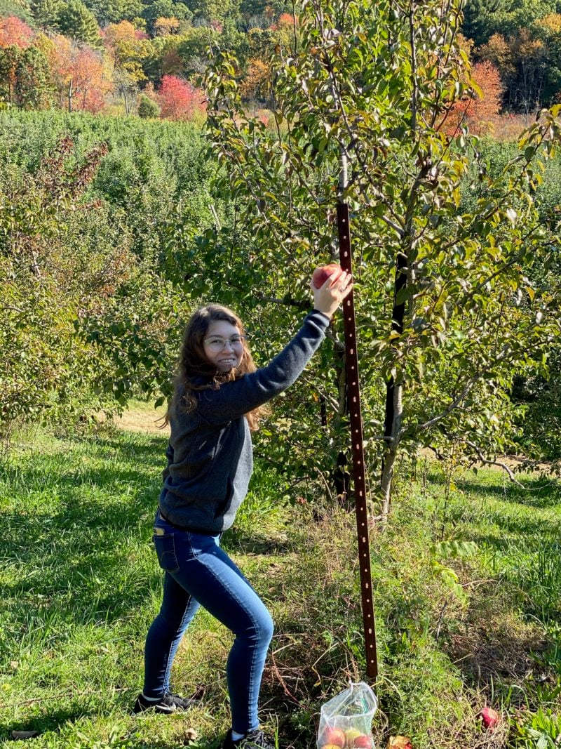 me pretending to pick an apple off a metal pole