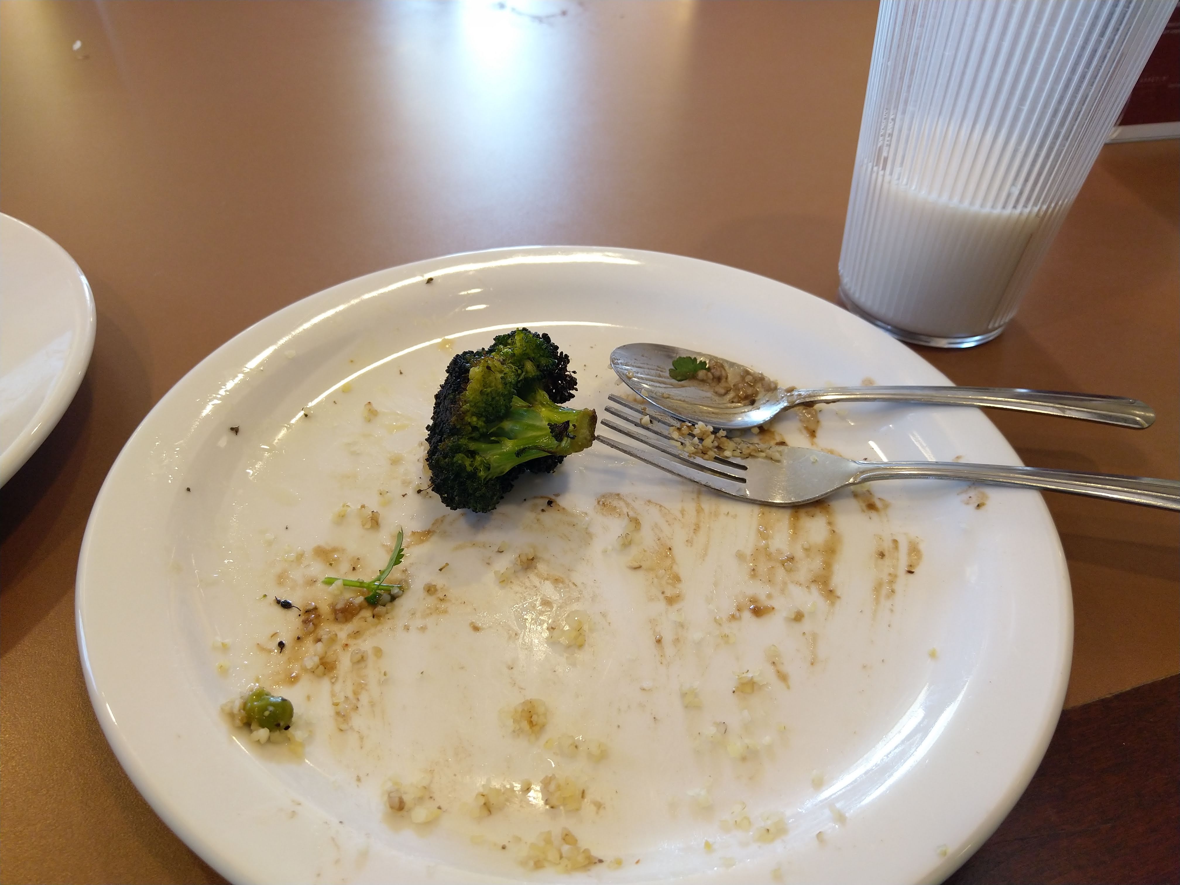 an empty plate, except for a single flower(??) of broccoli on it