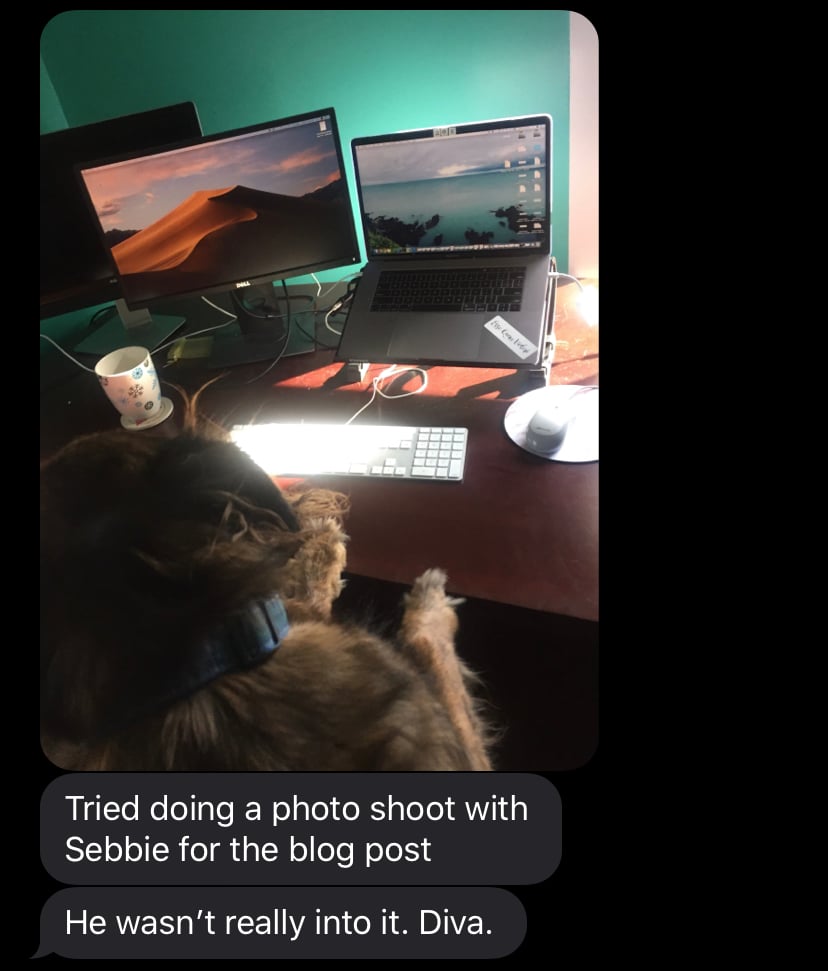 Text conversation of Ariel calling her dog a Diva after he won't take a good photo next to her work computer