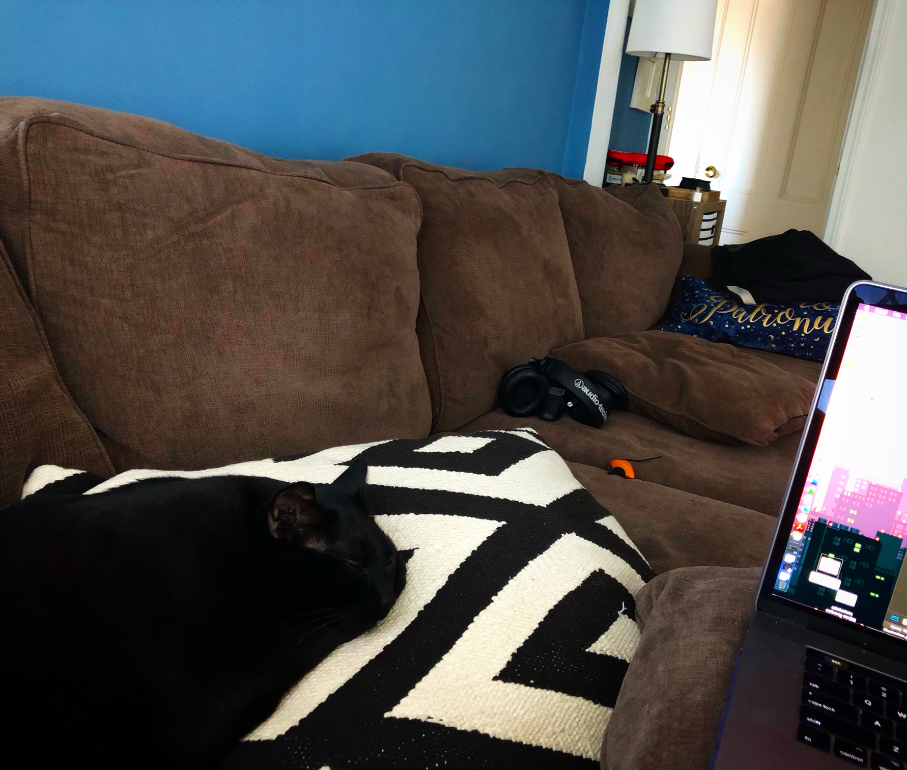 Kellen's couch and laptop, featuring his cat