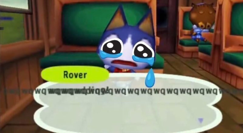 animal crossing cat crying