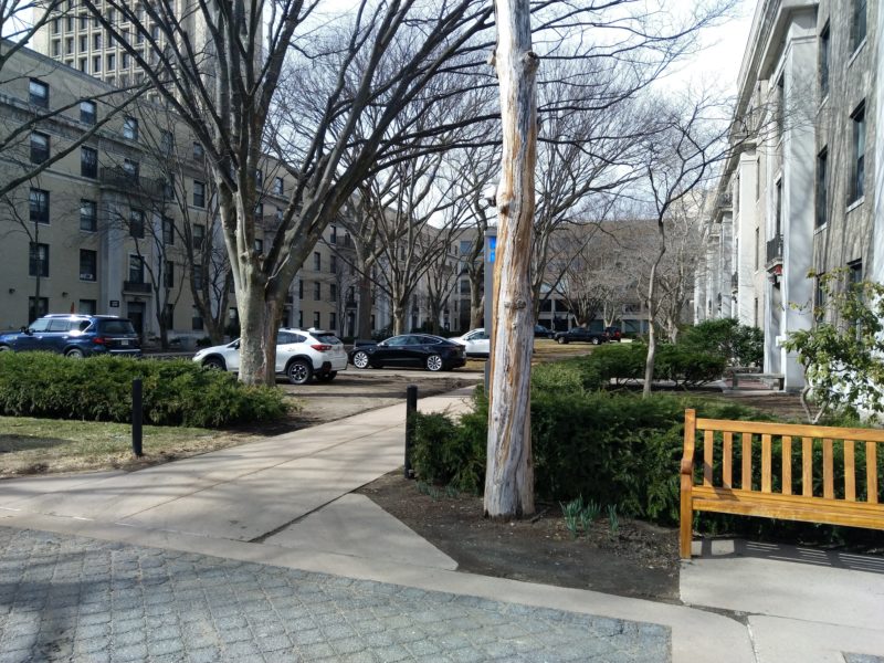 the east campus courtyard. several cars are parked. no one is visible.