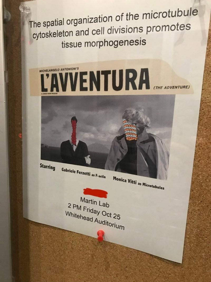 a cytoskeleton-themed take on Antonioni's L'Avventura