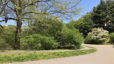 arboretum path