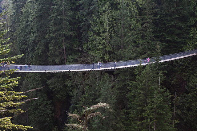 image of capilano suspension bridge