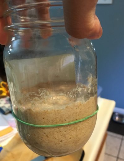 My sourdough starter in a mason jar. It's grown above the rubber band indicating its original size, and looks full of bubbles.