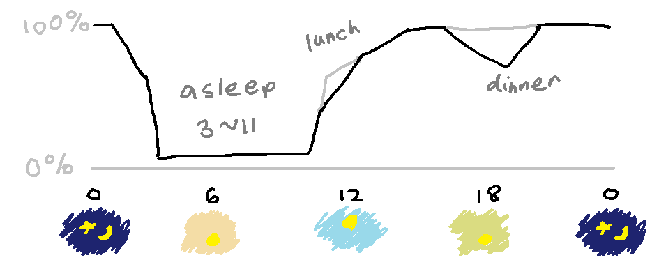 same graph, but now there are dips at lunch and dinner time