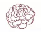 [Guest Post] All About the MIT Panhellenic Association