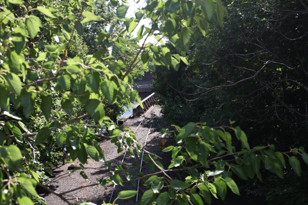 a photo of the railway underneath the Boston University Bridge