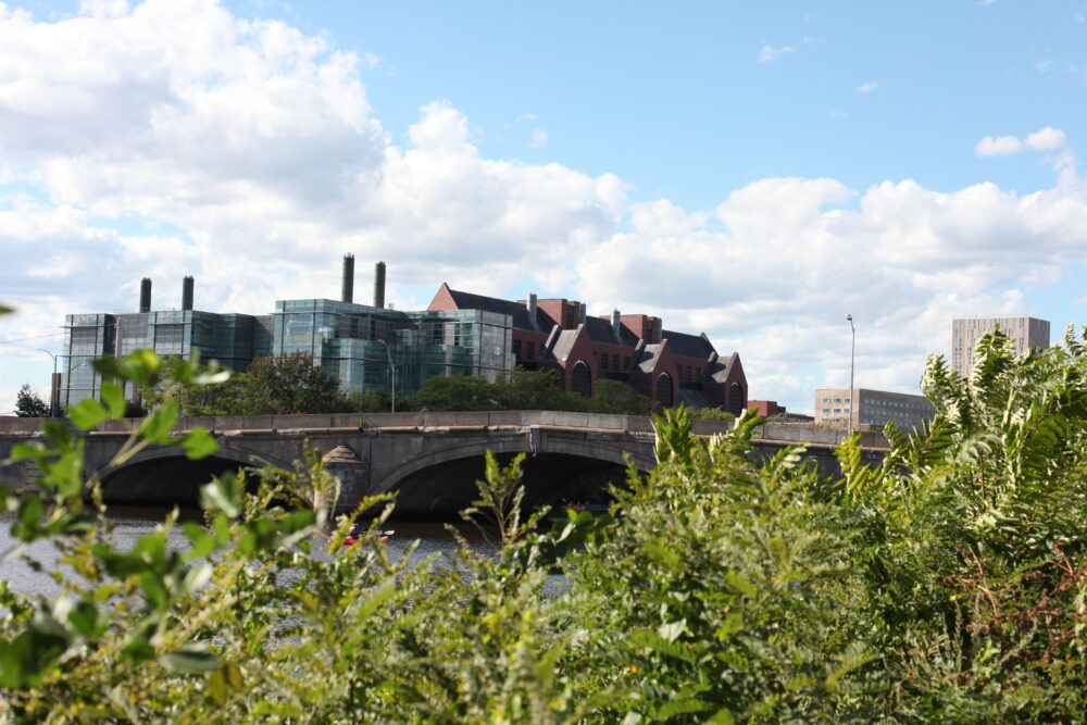 a photo of the River Street Bridge, from afar