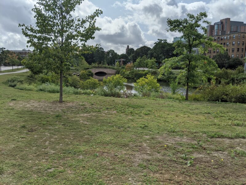 picture of the back bay fens