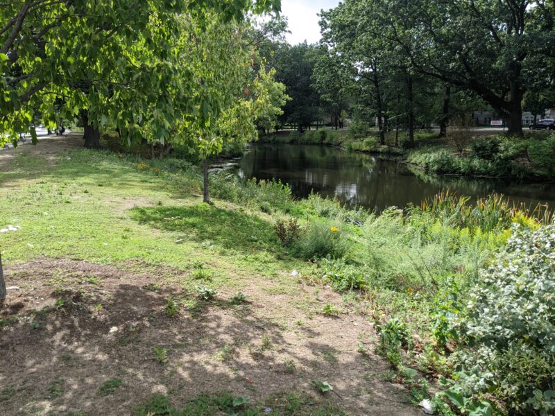 picture of the back bay fens