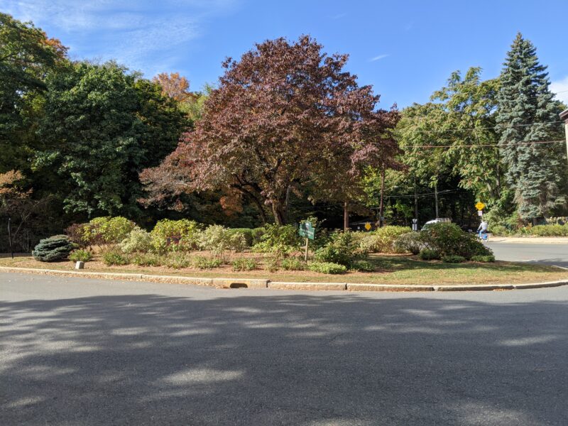 picture of the island in the middle of a roundabout
