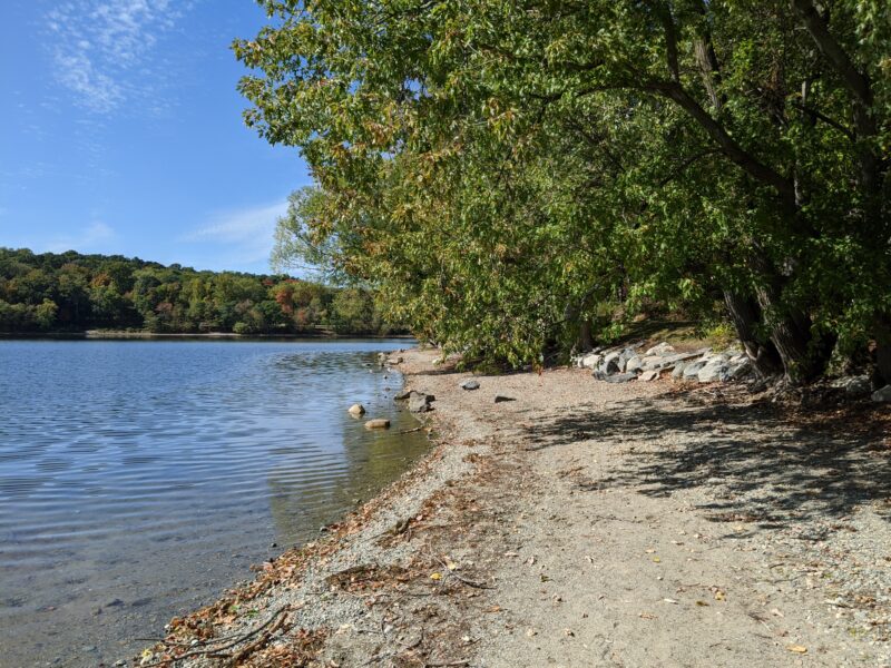 the shore of Jamaica Pond