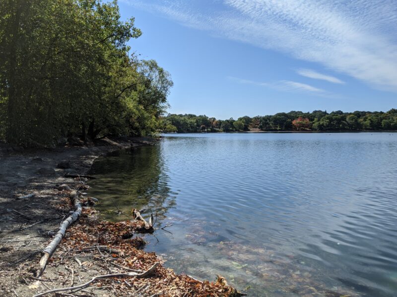 shore of Jamaica Pond