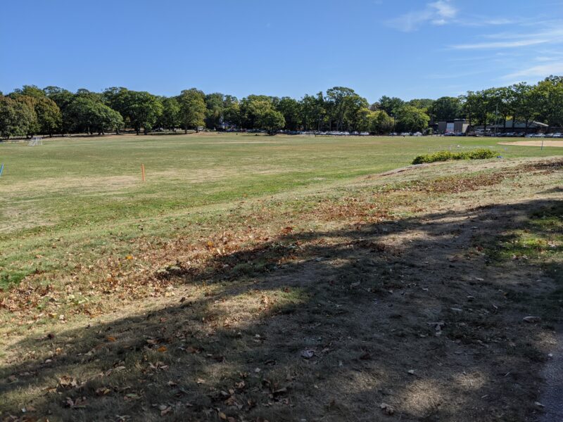 sports field