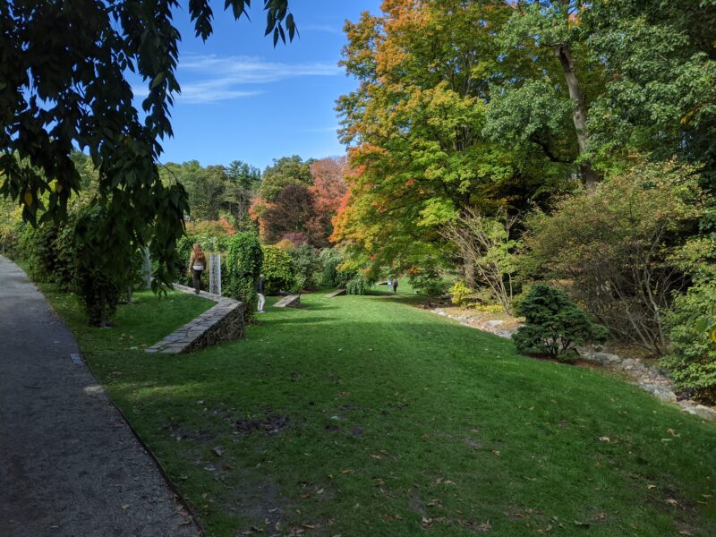 lawn sloping down to vine garden