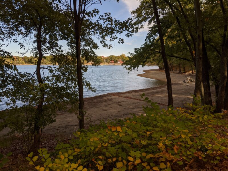 jamaica pond shore, with boathouse in the distance