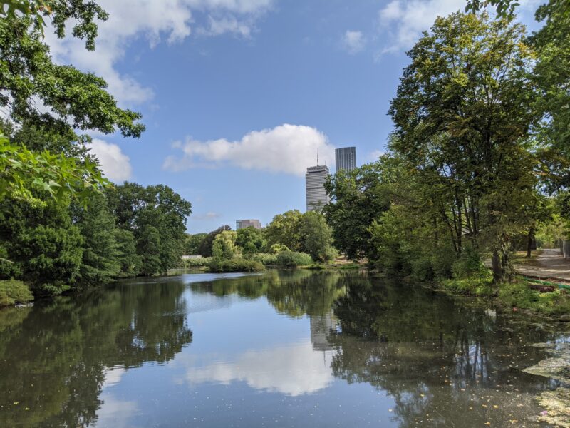 picture of sky, trees, and skyline reflected in a clear creek