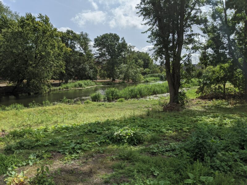 the muddy river flows between green banks