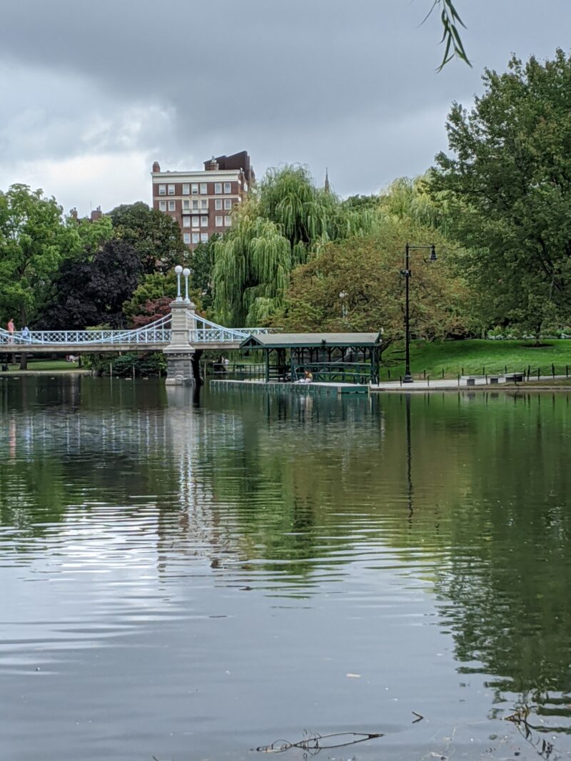 swan boat dock in boston public garden