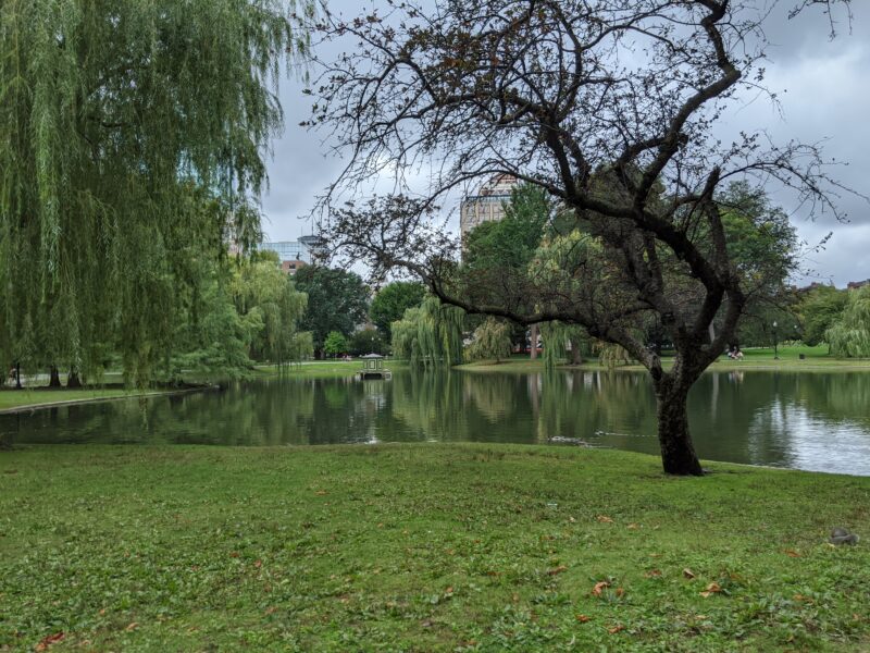 the boston public garden pond