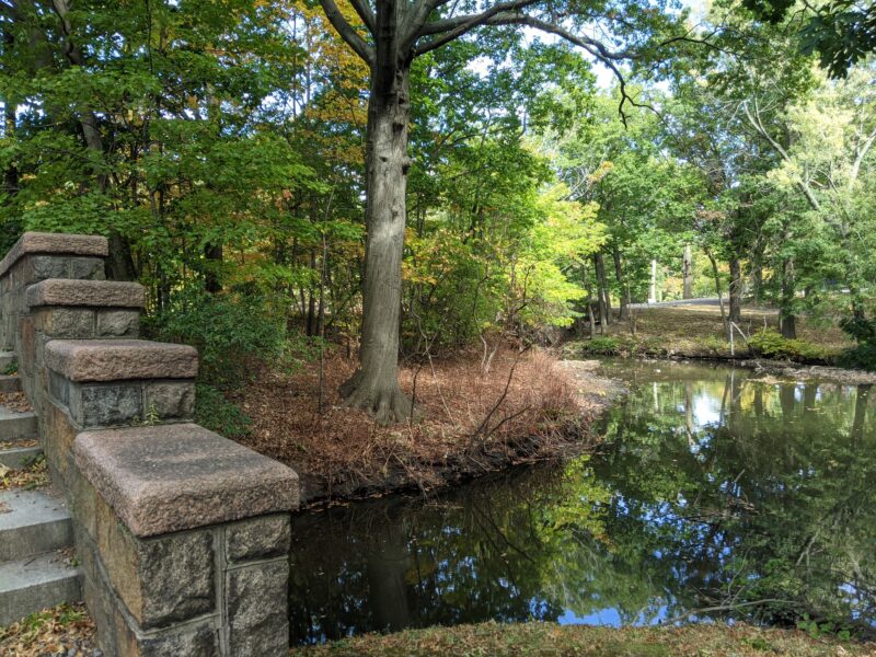 water in riverway park