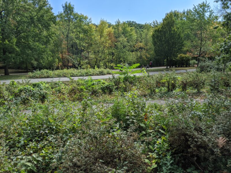 picture of Leverett Pond from the Allerton Overlook; the pond is secluded by trees