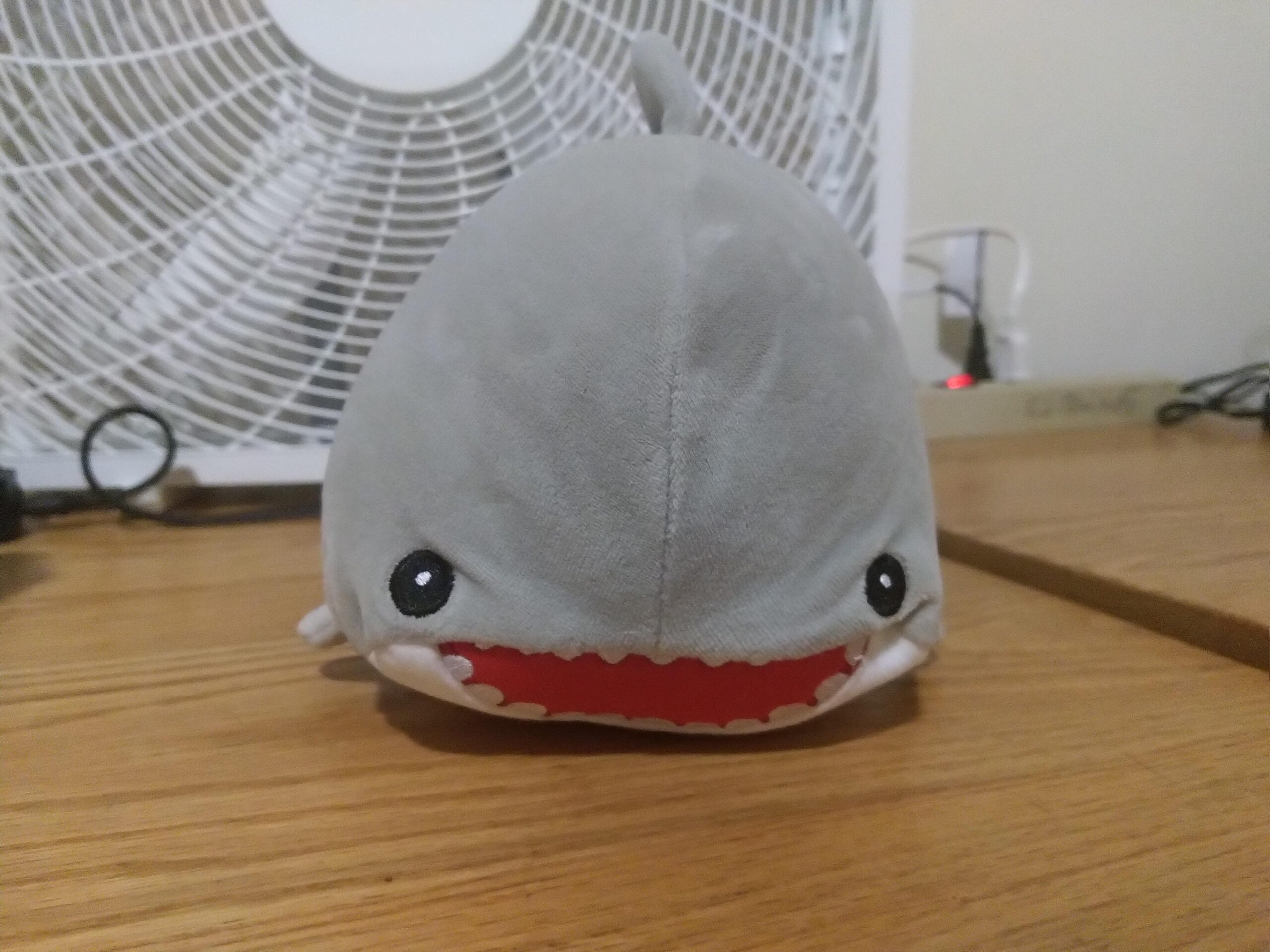 a very cute shark plushie