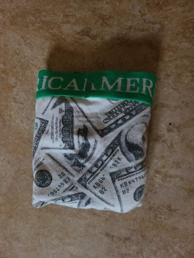 underwear with money print