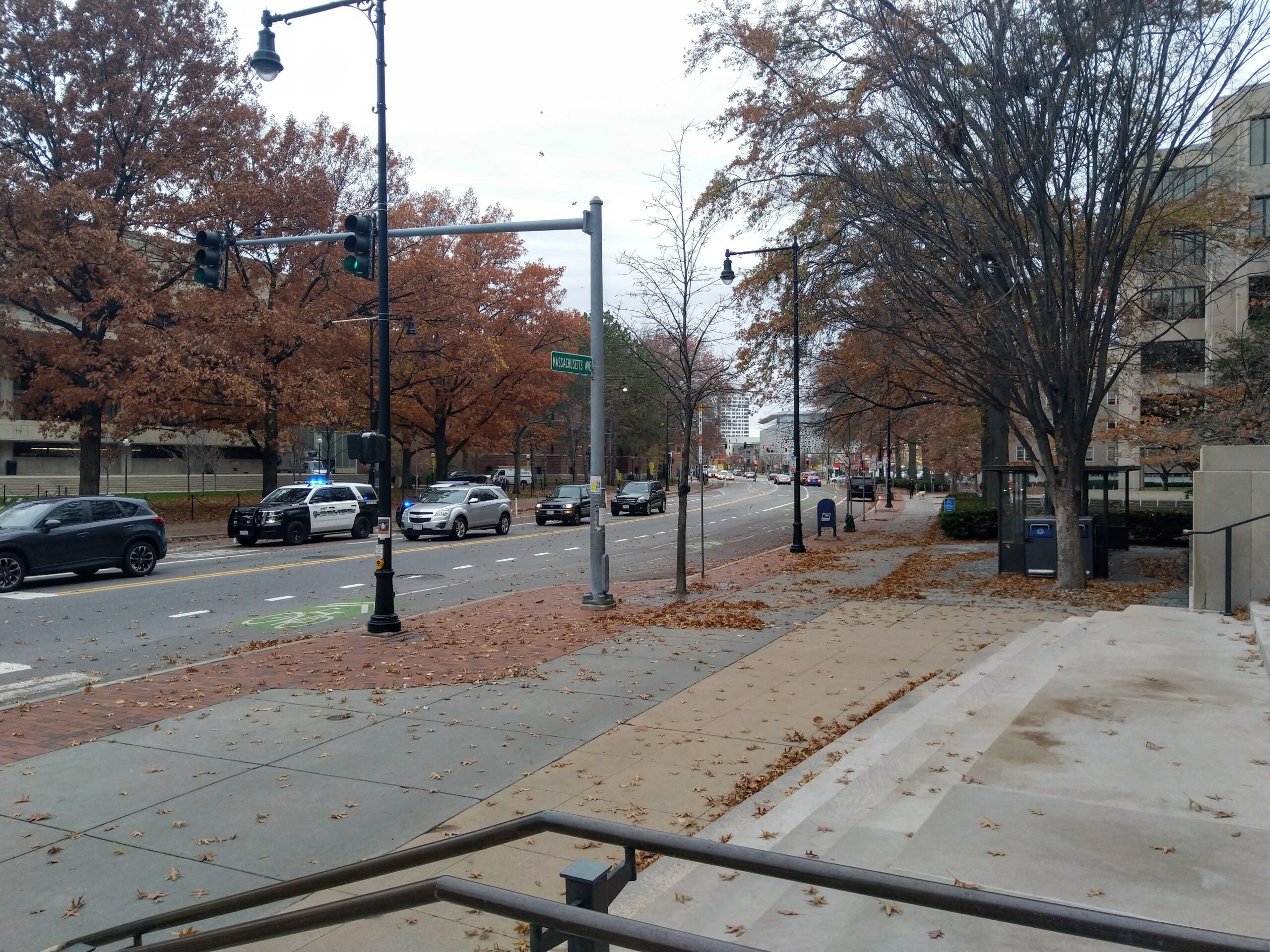 massachusetts avenue, with leaves on the staircase leading up to building 7